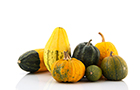Citrouilles, Courges Ferme la Ros&eacute;e du matin