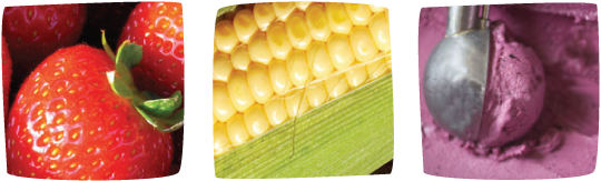Fruits et l&eacute;gumes Ferme la Ros&eacute;e du matin