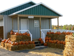 Ramasser des citrouilles St-Antoine-Tilly dans Lotbini&egrave;re &agrave; la Ferme la Ros&eacute;e Matin