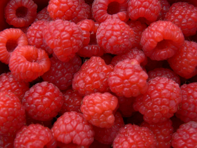 Framboises juteuses